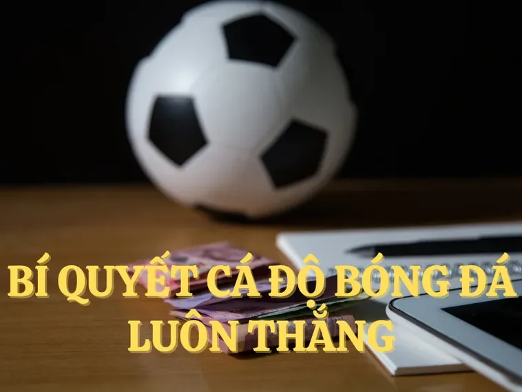 Cá Cược Bóng Đá ManClub Thiên Đường Soi Kèo Và Nhận Thưởng Lớn