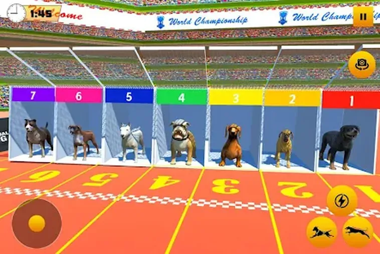 Game Nhanh Đua Chó Tại ManClub Và Bí Quyết Soi Kèo Những Chiến Khuyển Tốc Độ