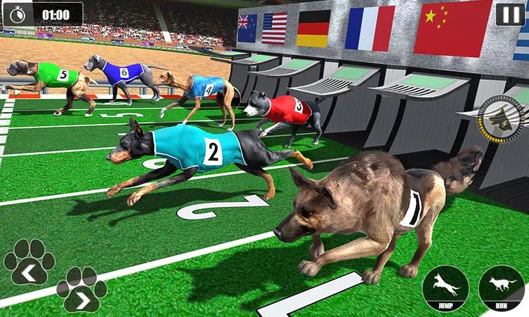 Game Nhanh Đua Chó Tại ManClub Và Bí Quyết Soi Kèo Những Chiến Khuyển Tốc Độ